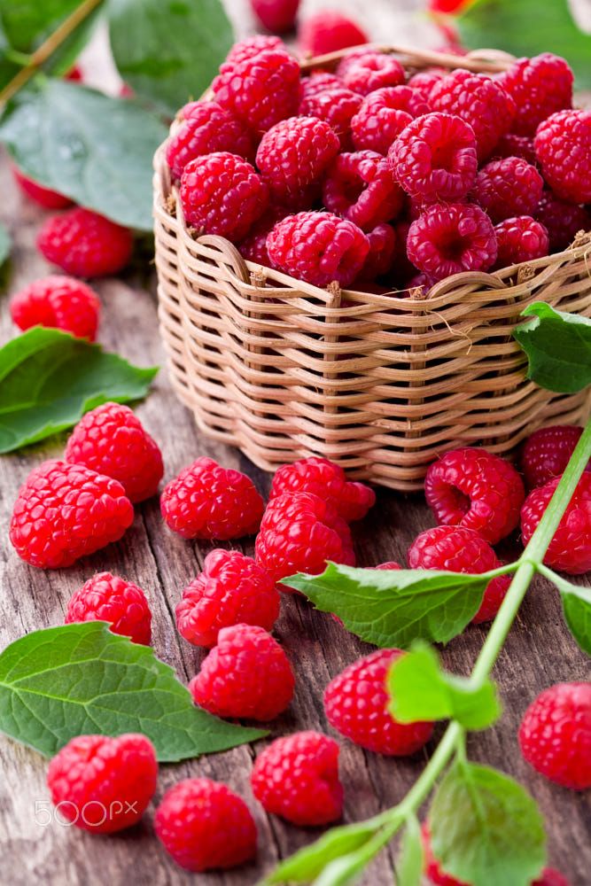 Raspberries by M_ Pessaris - Photo 157212913 _ 500px