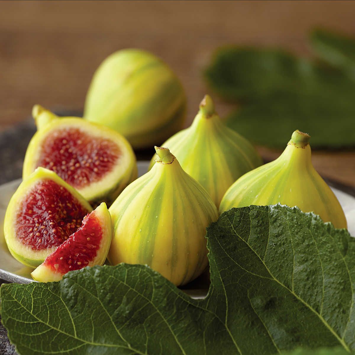 Tiger Figs